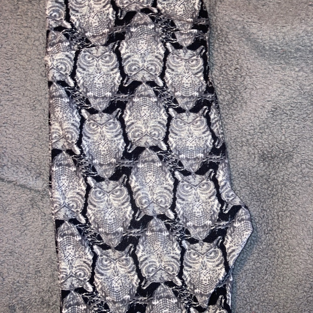 Lularoe TC Leggings “owl print”